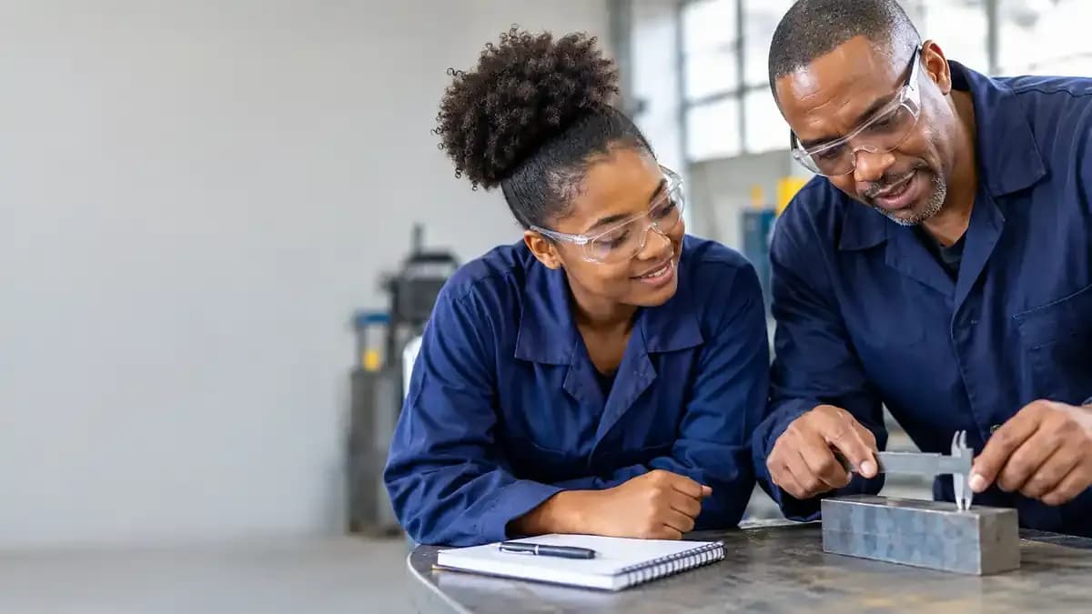 What is a learnership image